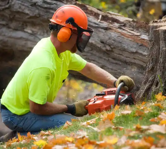 tree services Goodview